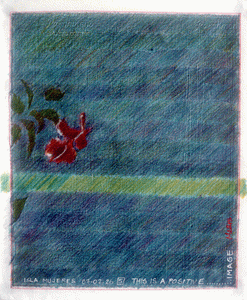 snaps-87-02-26-5